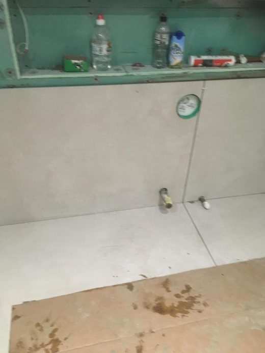 Tiling by TileTrust
